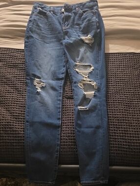 American Eagle Outfitters Distressed Dark Blue Skinny Jeans